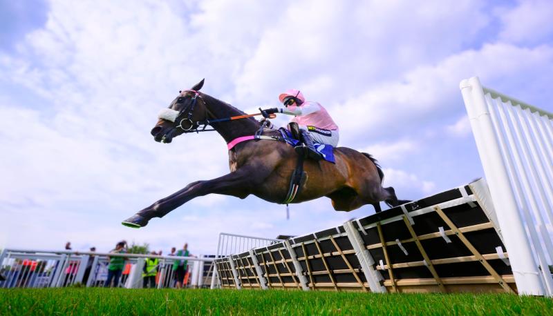 Amazing racing at Newton Abbot. Pic from PPAUK