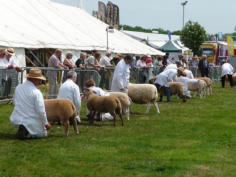 Peter Vosper: Business on show to visitors at the Devon and Cornwall shows