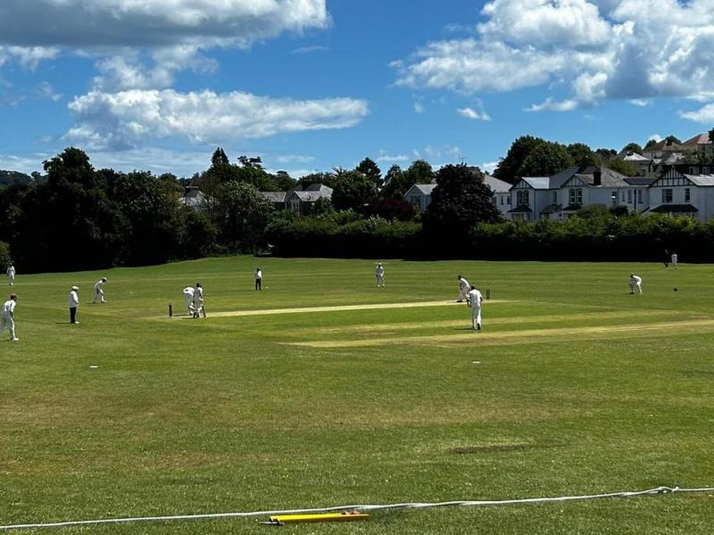 The fabulous Cricketfield Road