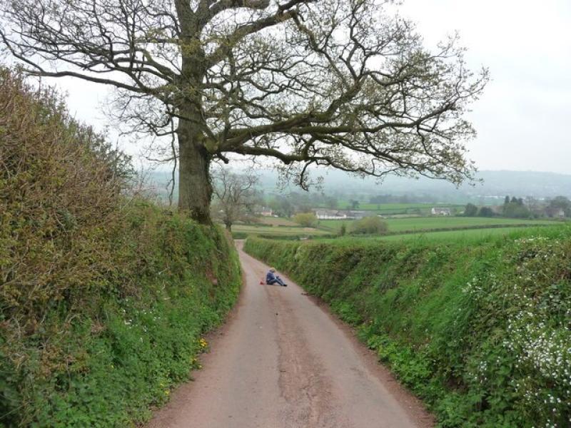 Paul Jolly: Driving Devon lanes