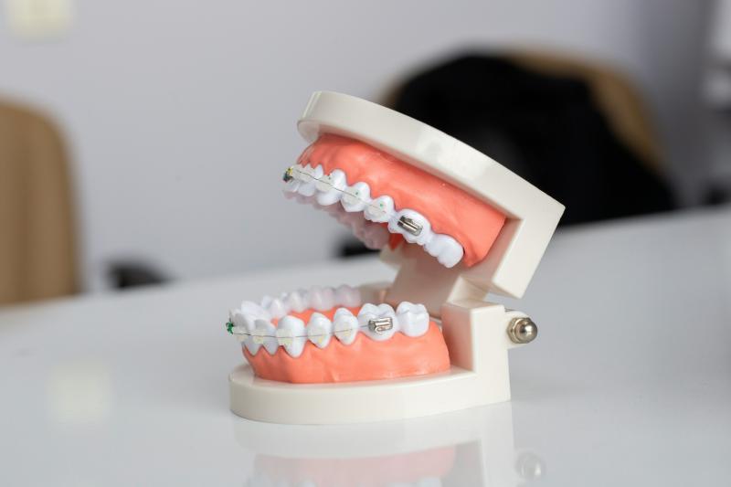 Torbay MPs slam dental crisis and demand action