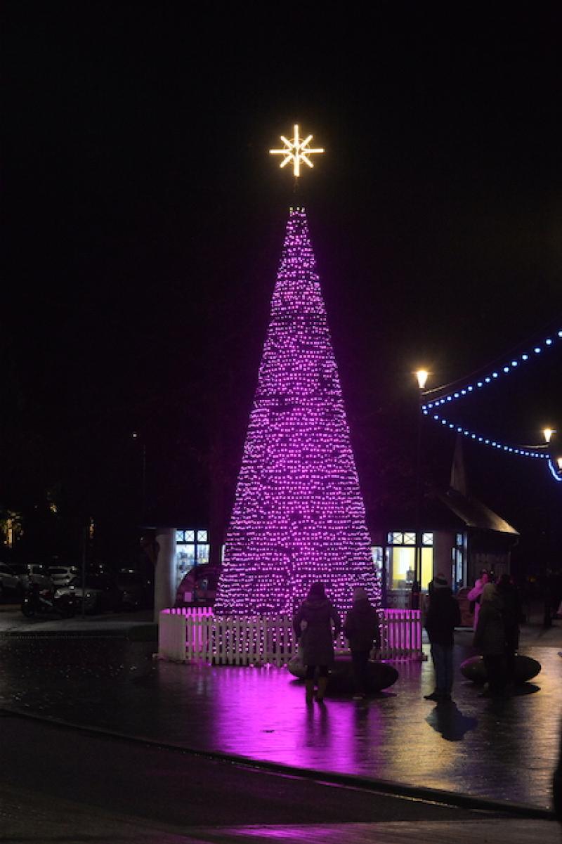 Dave Thomas: Bay of Lights set to shine brighter 