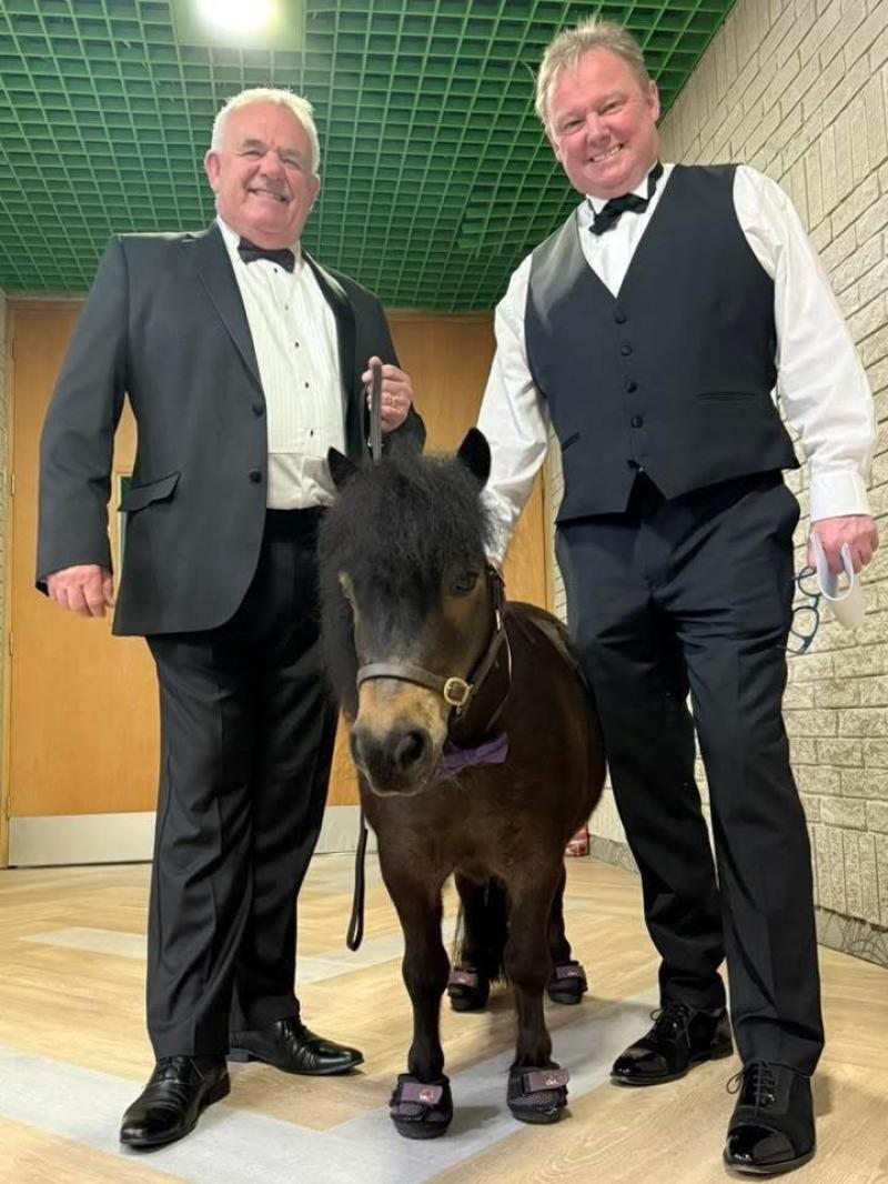 Jim Parker, Patrick the Pony and Torbay Weekly Business Awards host David Fitzgerald