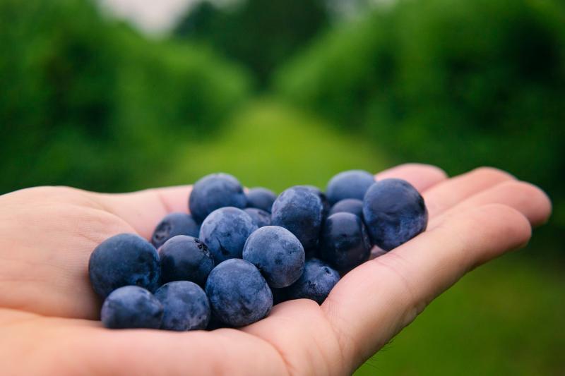 Gardening: Why you need to be thinking ahead this summer