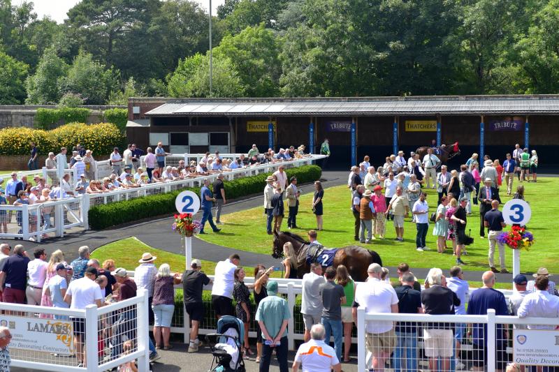 The Paddock at Newton Races. Pic from PPAUK
