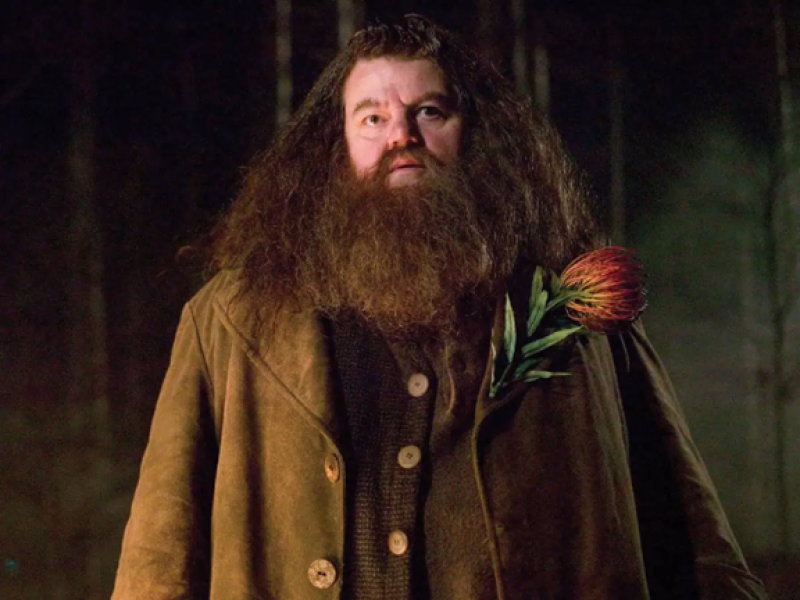 What do Hagrid and a Torquay taxi driver have in common?