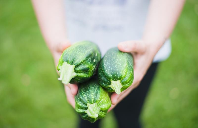 Gardening with Pat Duke: Keeping up with climate change