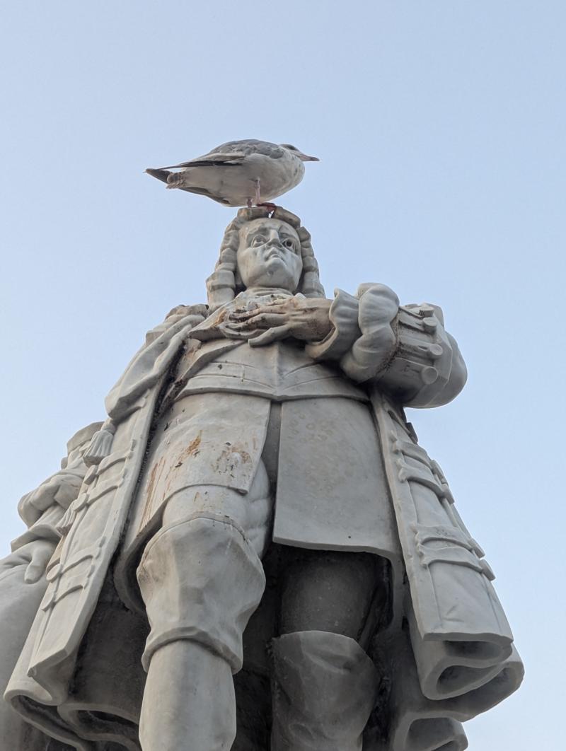 The Storyteller: You never know who you'll meet on walk across the Moor