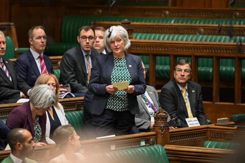 Caroline Voaden speaking in parliament 
