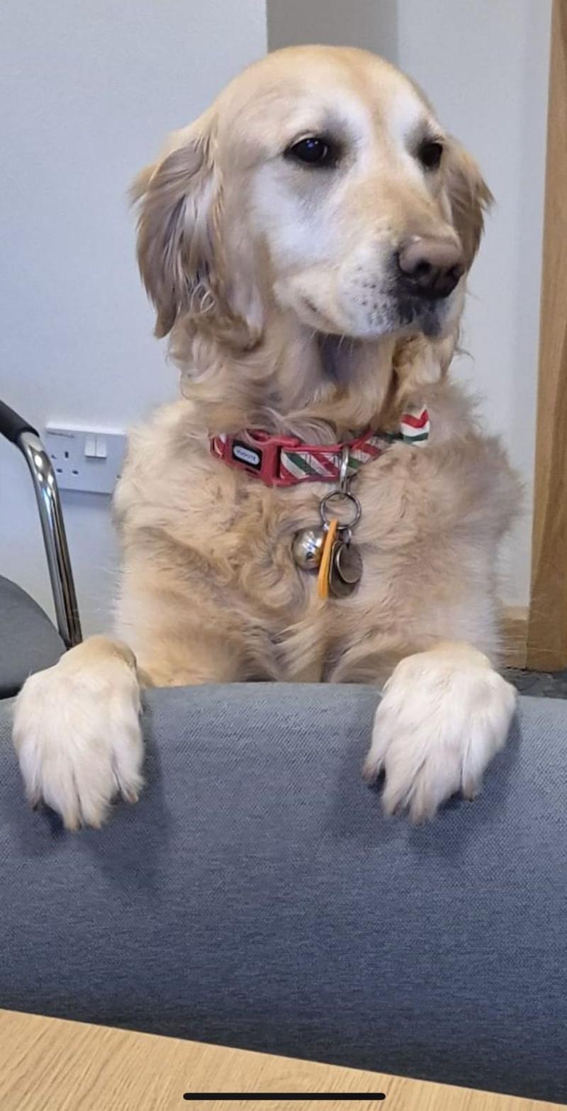 Steve Darling: Taking time to listen to my community