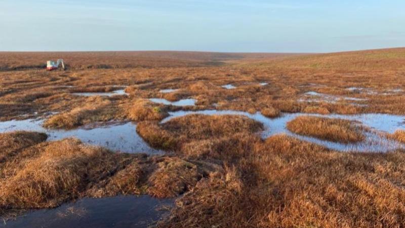 New restoration season begins on Dartmoor