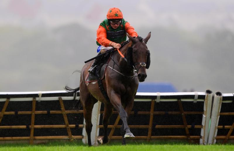 Racing at Newton Abbot. Pic from PPAUK