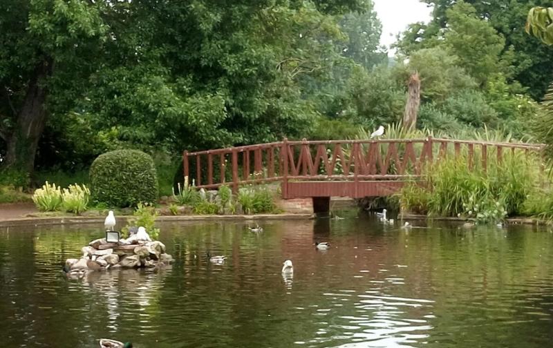 Kevin Dixon: Torquay's beautiful Italianate gardens 
