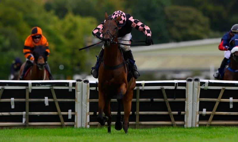Prince Zaltar races to victory. Pic from PPAUK
