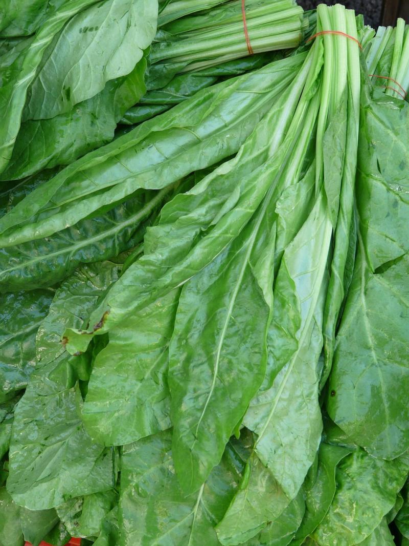 Gardening: Use sunshine and showers to your advantage