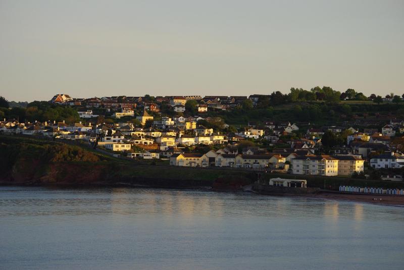 Steve Darling: Glimmers of hope and Torbay in bloom