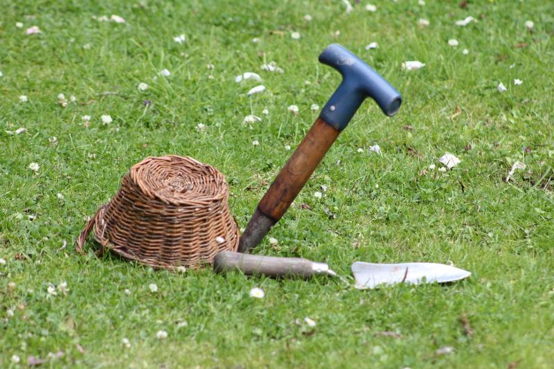 Gardening: Time to get the tools out 