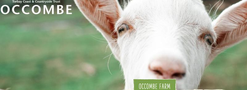 Occombe Farm to close