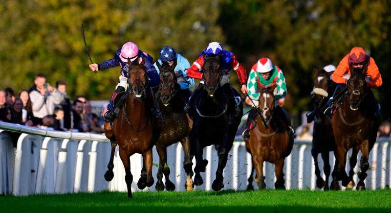 Crest Of Stars ridden by Sam Twiston-Davies 