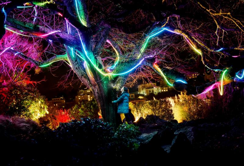 Bay of Lights 2025: Everything you need to know about the English Riviera’s Christmas celebration