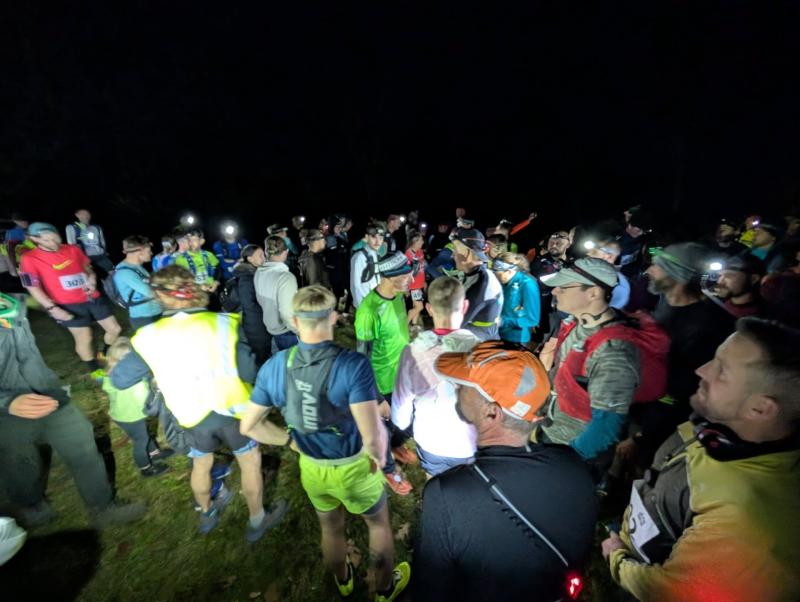 Wild Night Run Series