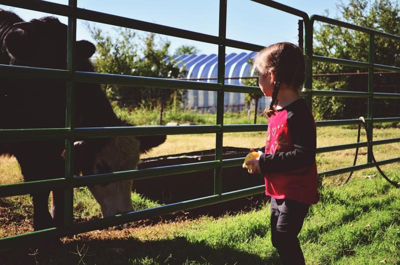 Devon’s Bev Brown named South West Farming Ambassador of the Year 2025