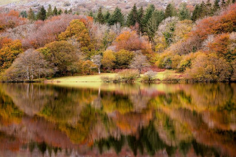 South West Lakes Trust seeks new trustees to help shape the future of nature across the region