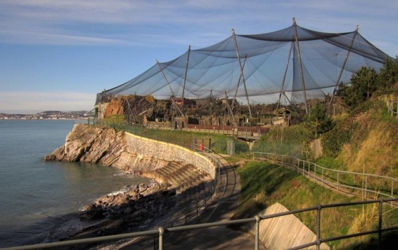 Living Coasts (Picture courtesy of: Derek Harper)