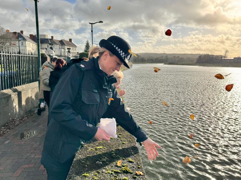 Barnstaple petal scattering 1