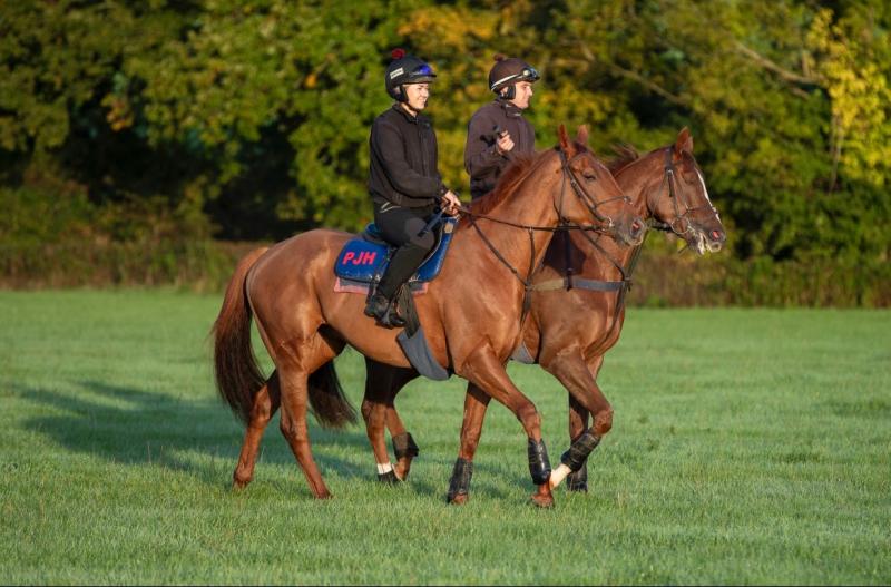 Former jockey switches careers and graduates in neuroscience at Exeter