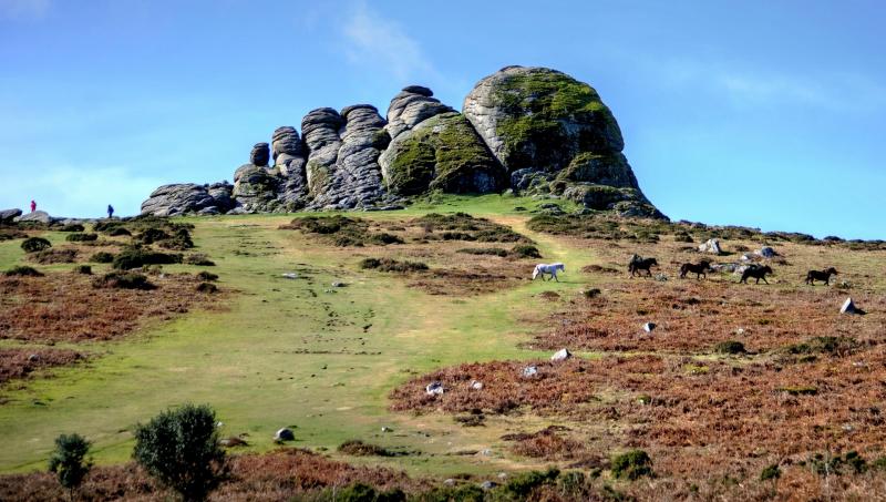 Decision ends months of speculation over who would lead Dartmoor next Image-Alison Day