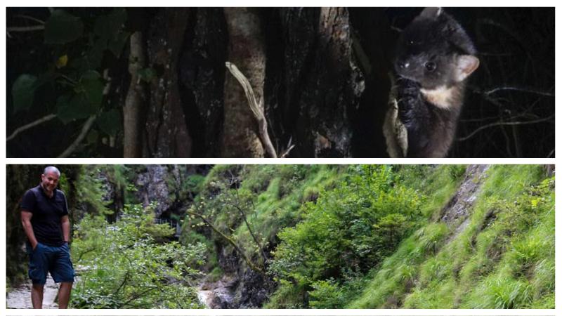 Dan Bagur, author and a Pine Marten (Copyright Dan Bagur)