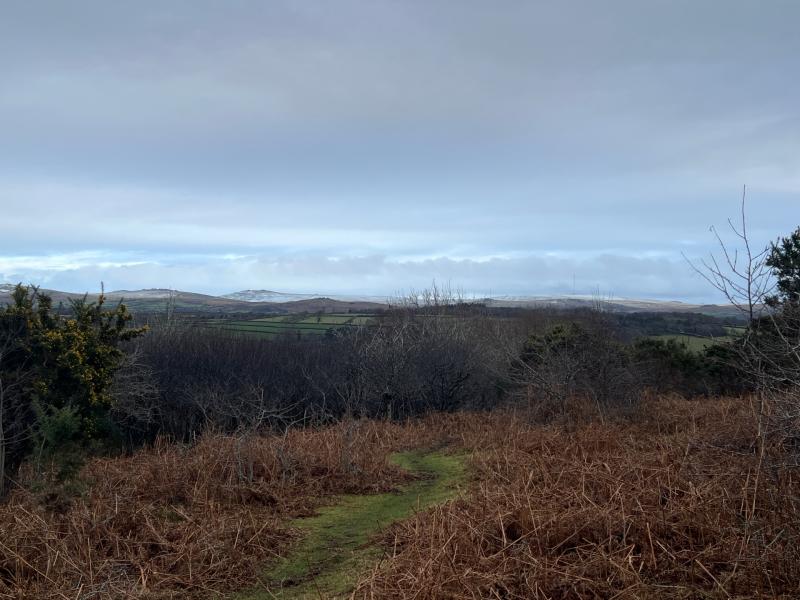 A balance between change and continuity at the heart of how 2025 has shaped the moor Image- Jamie Townsend