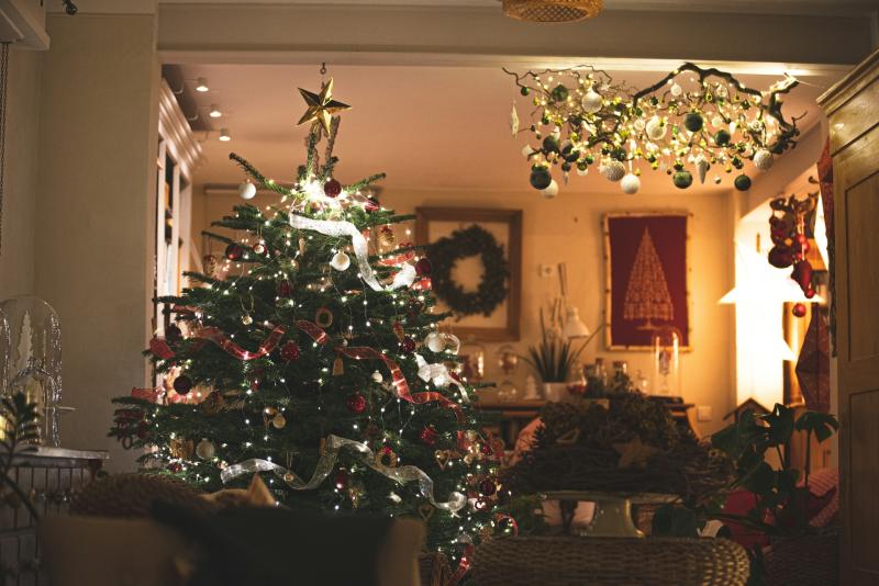 Rowcroft hospice Christmas tree collection scheme returns