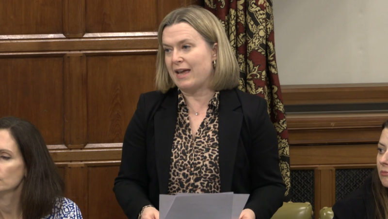 MP warns lives are at 'risk' as new Bill targets horse and rider safety