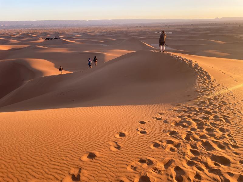 Rowcroft Hospice invites adventurers to trek the Sahara in 2027