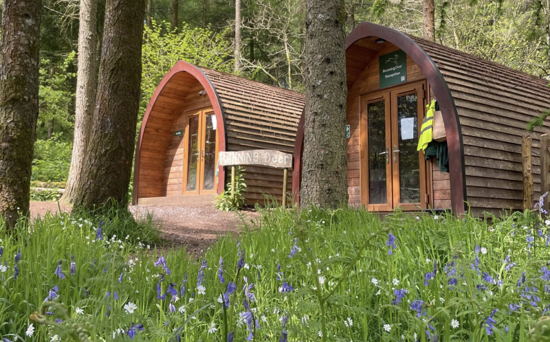 Running Deer School in Moretonhampstead has received the UNICEF Rights Respecting Schools Bronze Award (Image- Running Deer)