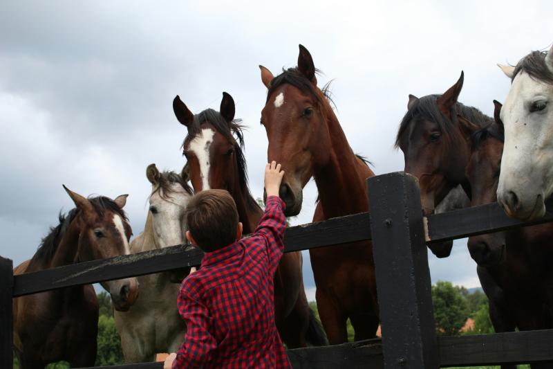 Exeter MP welcomes new animal welfare strategy promising biggest reforms in a generation