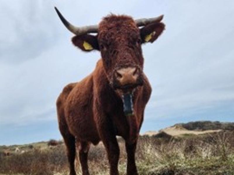 How &pound;700,000 is helping North Devon farms transform for nature and climate