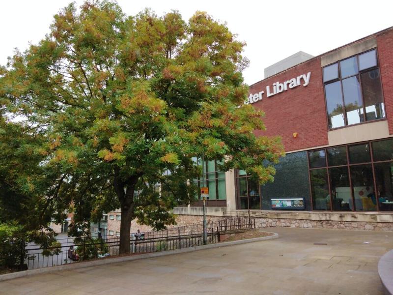 Exeter library services at risk as Devon proposes deep funding cuts