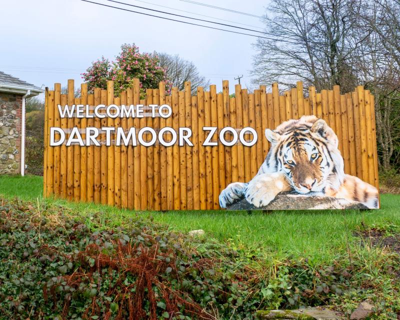 Record attendance at Dartmoor Zoo follows new ticketing changes and investment in facilities and habitats (Image- Kira Butters)