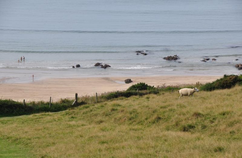 Devon residents urged to weigh in on local government shake-up