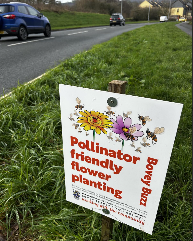 Bovey Tracey Town Council votes to end annual seeding scheme in favour of permanent plants