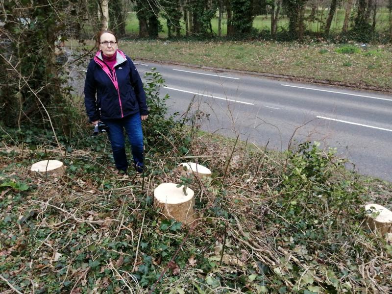 Past conduct issues raised during Torbay mayor debate