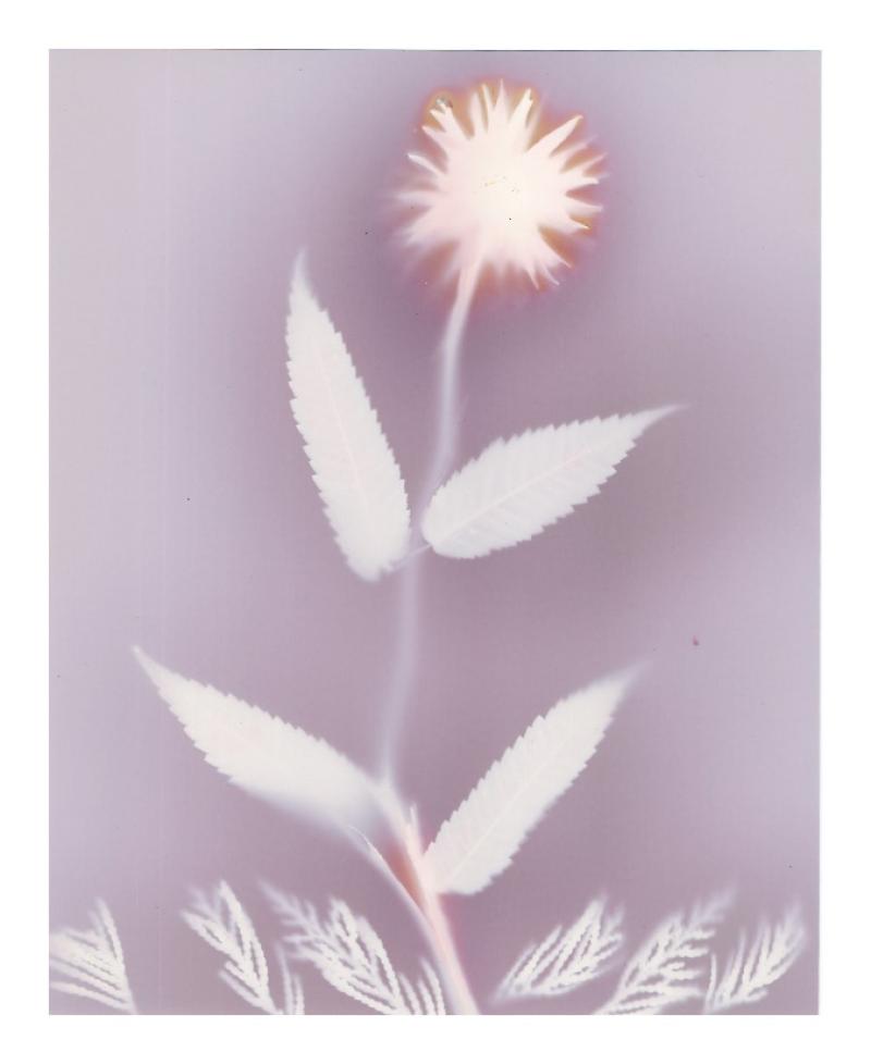 Bideford exhibition shares refugees' stories through photography