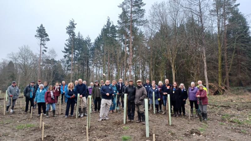 New woodland unveiled at Devon park after major three-year restoration
