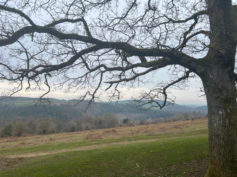 Experts select Dartmoor as one of the South West&rsquo;s standout areas (Image- Jamie Townsend)