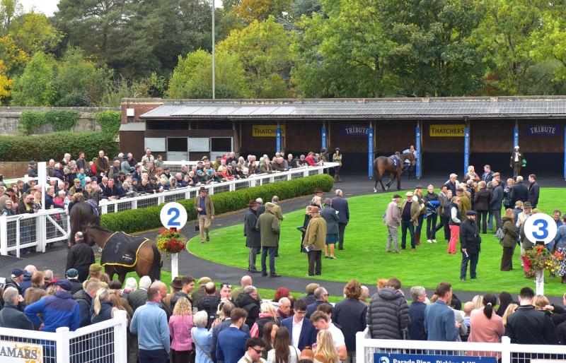 The Paddock at Newton Races. Pic from PPAUK
