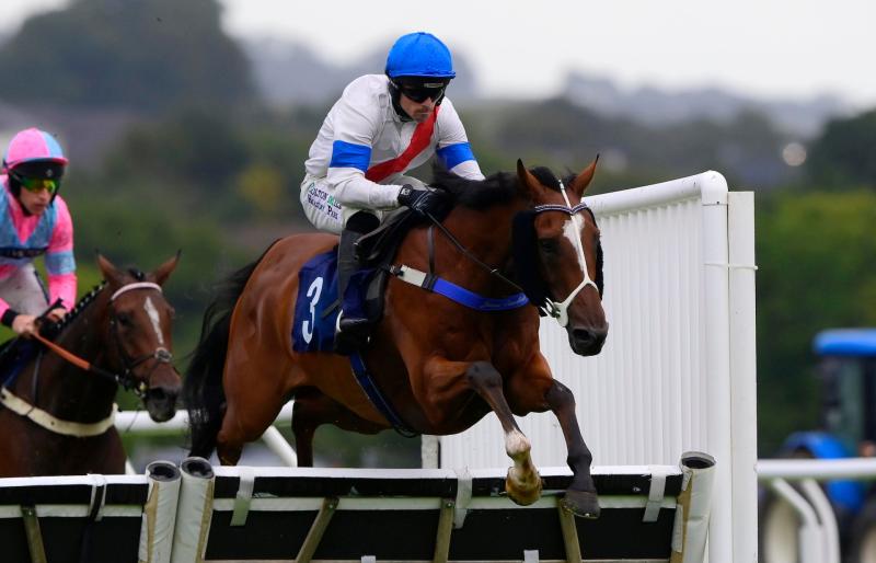 Newton Abbot Races. Pic from PPAUK