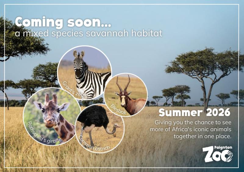 Paignton Zoo Savannah plans - just one theme